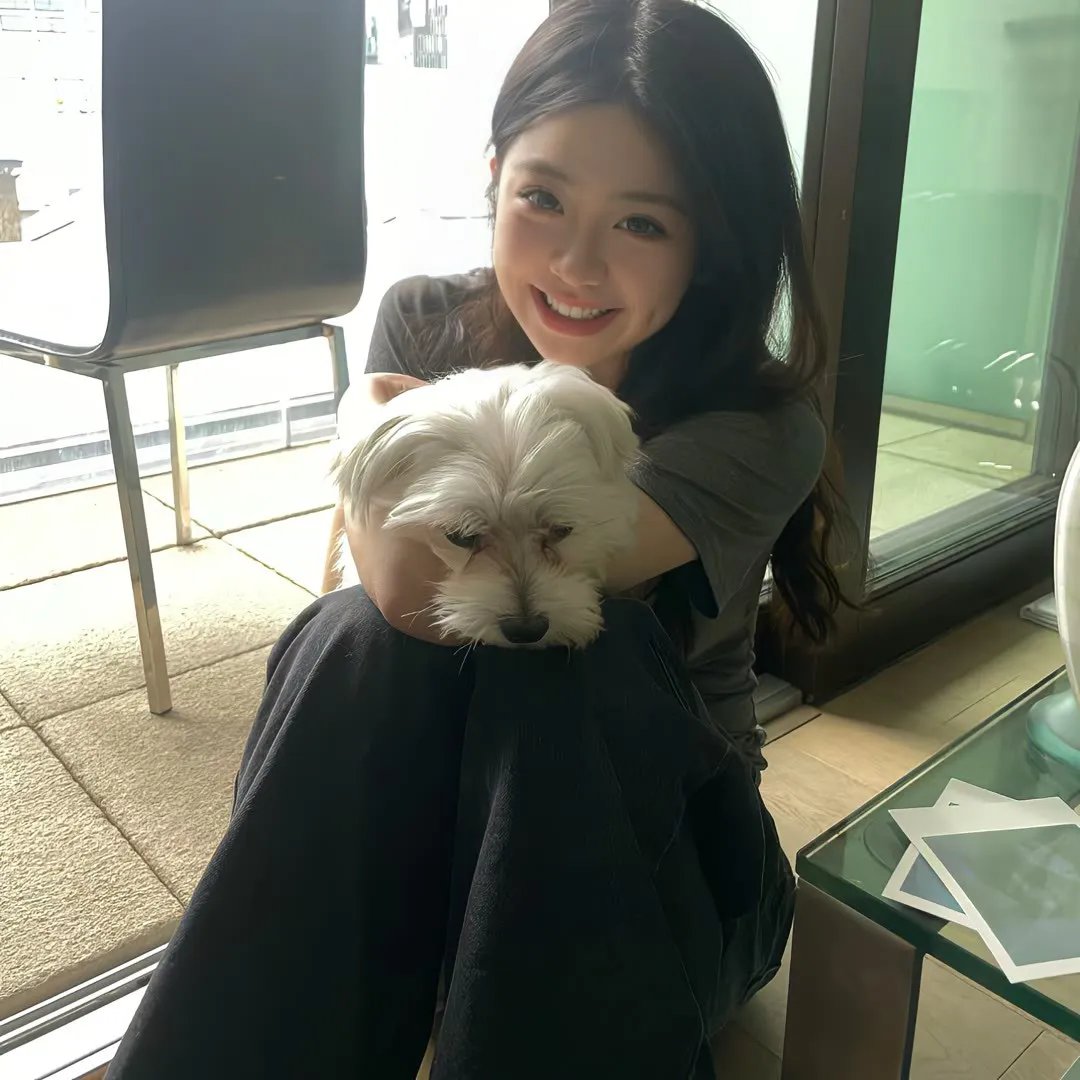 战地黄花分外香